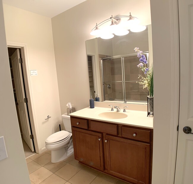 Bathroom features a large walk in closet, elevated shower head and floor to ceiling mirror. - 500 E Grant St