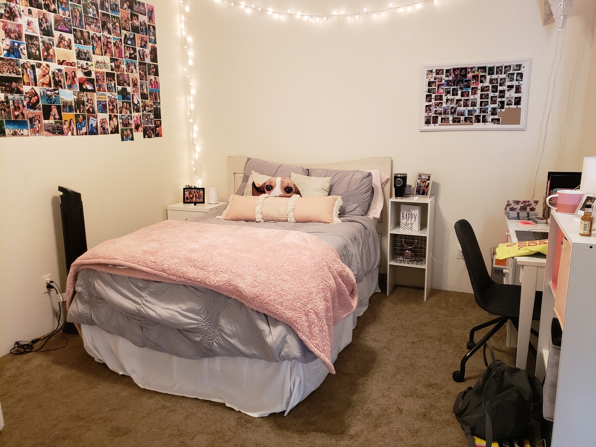 Bedroom - 1823 N Park Ave