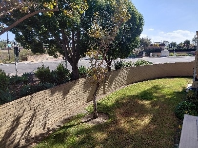 Building Photo - 5037 Los Morros Way