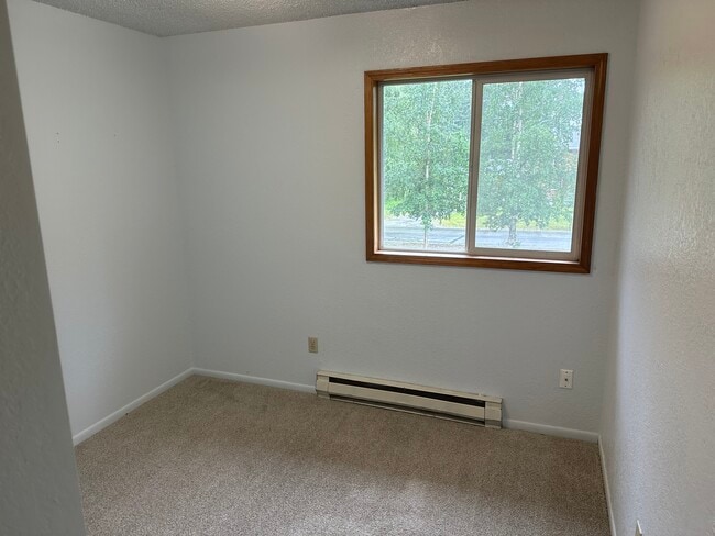 Bed 3 - 801 w wilder ave