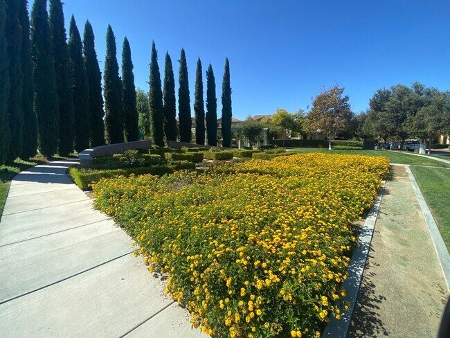 Building Photo - 14601 Serenade Dr