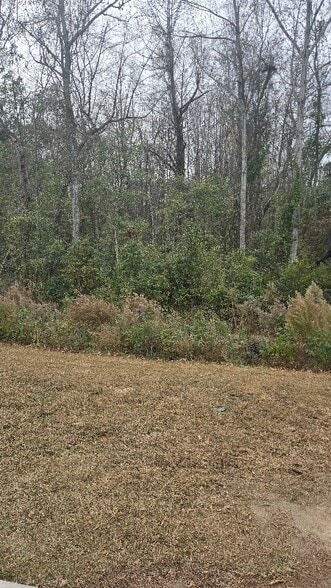 Building Photo - 248 Wall St