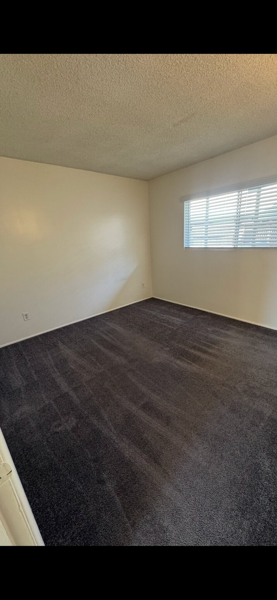 Building Photo - 10446 Kailua Ln