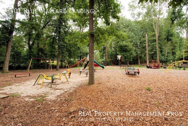 Building Photo - 3401 Blue Mallard Landing