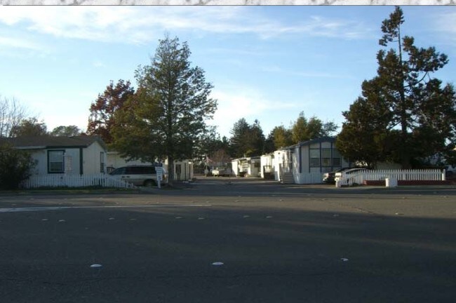 Primary Photo - Westfield Mobile Home Park