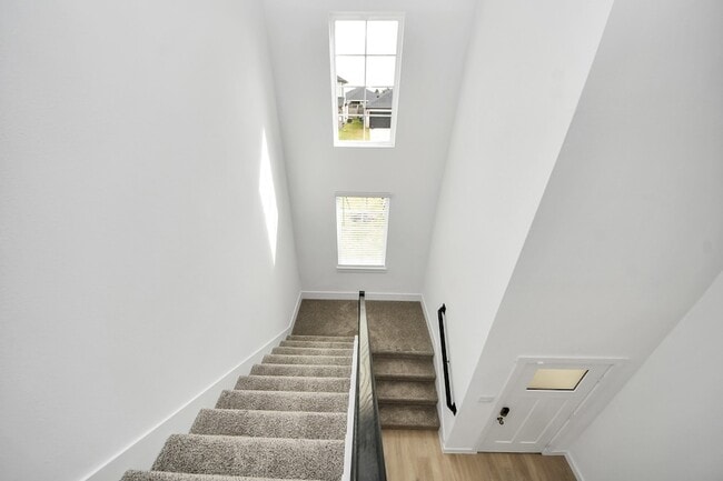 Building Photo - 7811 Bel Fiore Dr