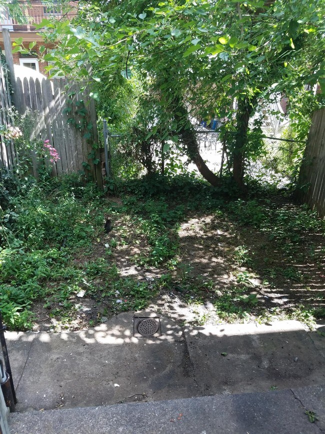 fenced back yard - 1837 Zarker St