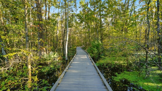 Building Photo - 2229 Lookout Landing
