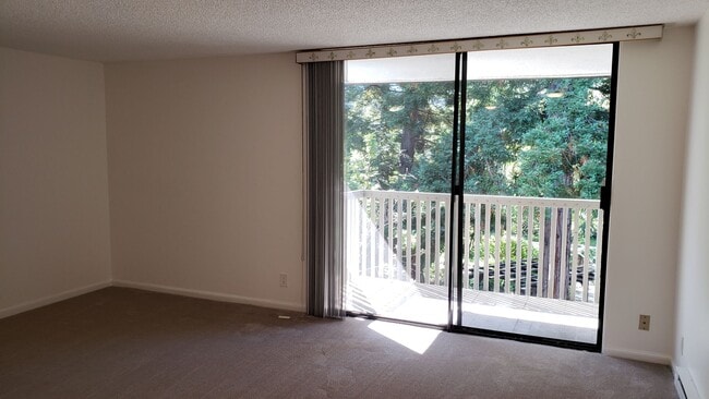 Building Photo - Cozy Studio Condo Available Now at Shelter Creek!