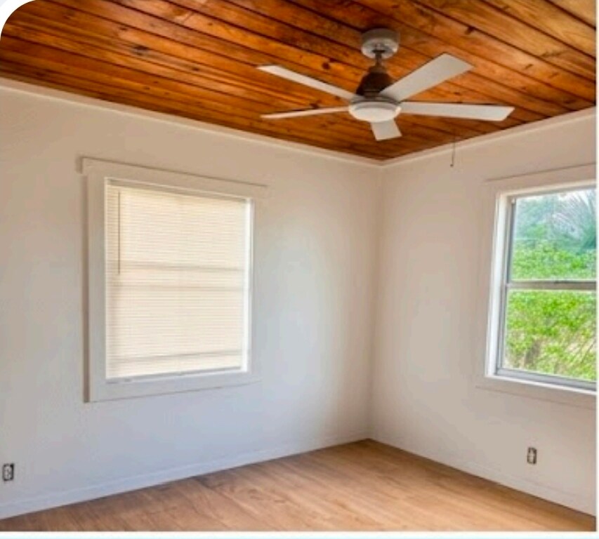 Just painted and clean! - 205 S Rogers Ave