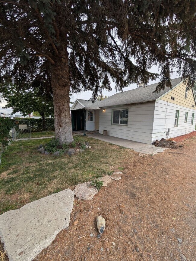 Building Photo - 515 Miller Ave