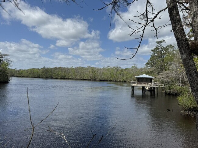 Building Photo - For Rent - Spring Move in Special ... 2nd Month's Rent FREE! (if sign a lease before the end of M...