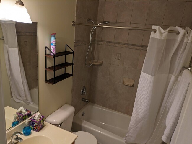 Secondary Bathroom - 2109 N Bingham St