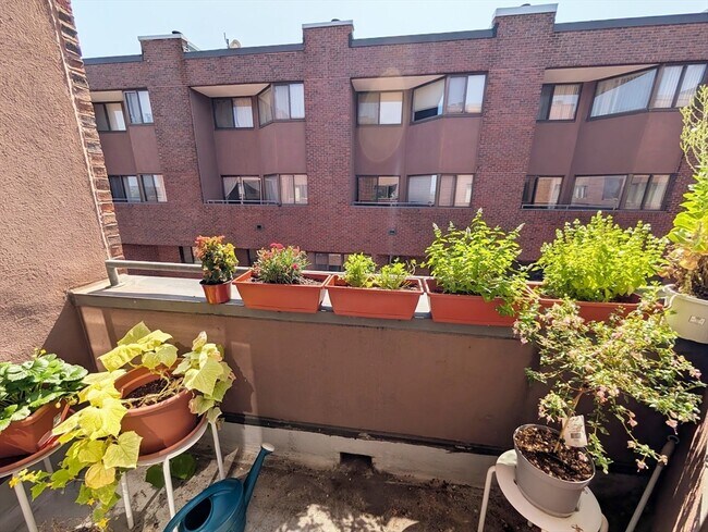 Building Photo - 147 Kelton St
