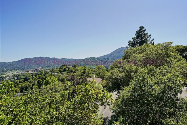 Building Photo - Spacious Greenbrae View Home with Privacy ...