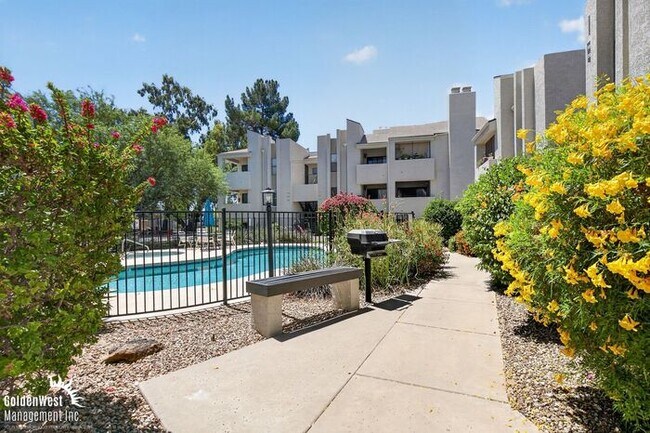 Building Photo - Bright and Modern 1Bdm 1Ba Condo Near Downtown Scottsdale!
