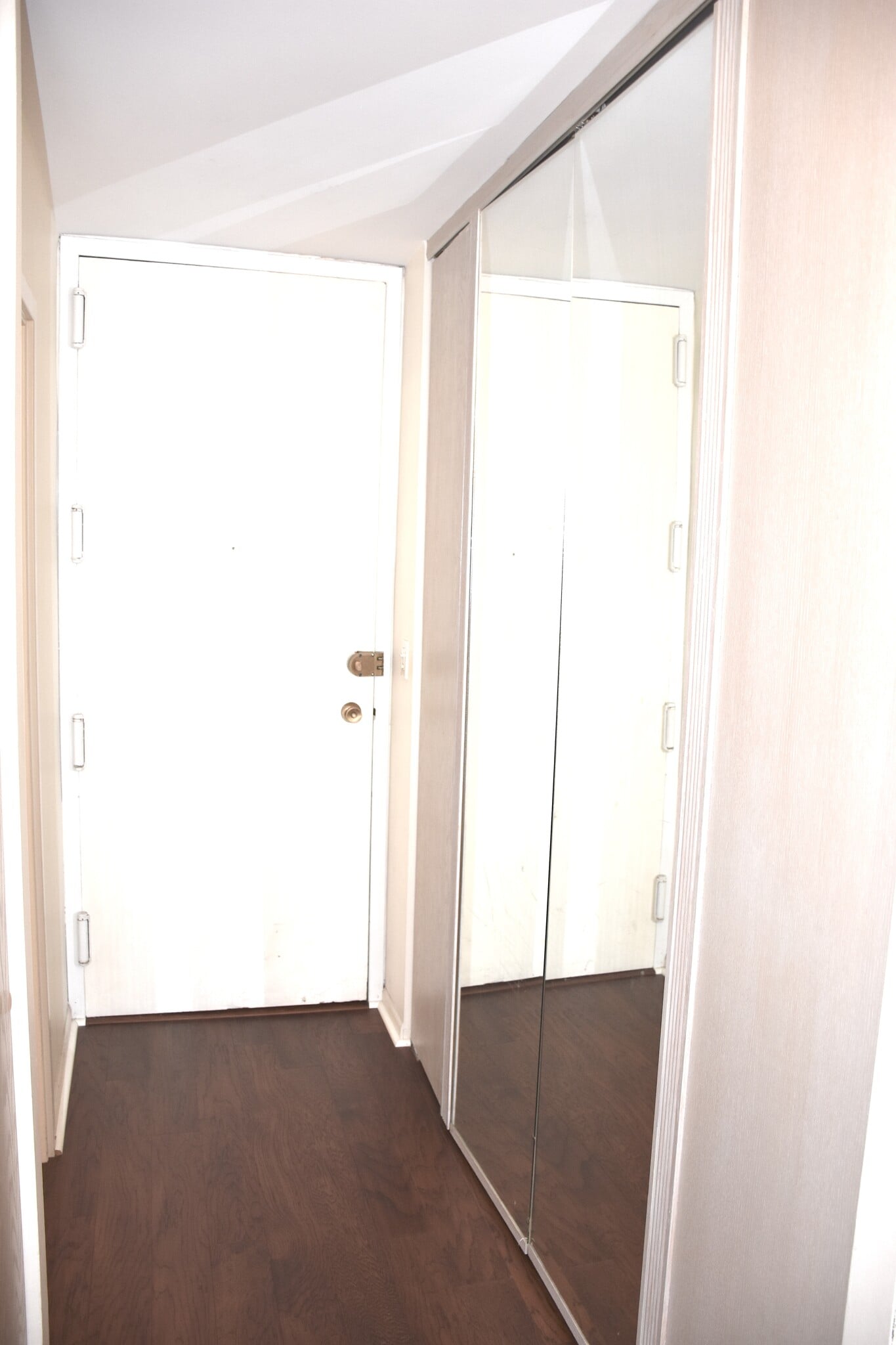 Mirrored Closet #3 - 1636 N Wells St