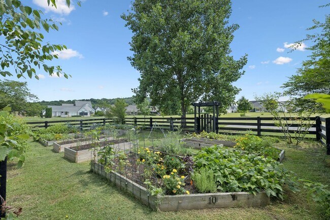Building Photo - 7-bedroom, 5-bath, Home w/ 3-Car Garage in Williamson Co.