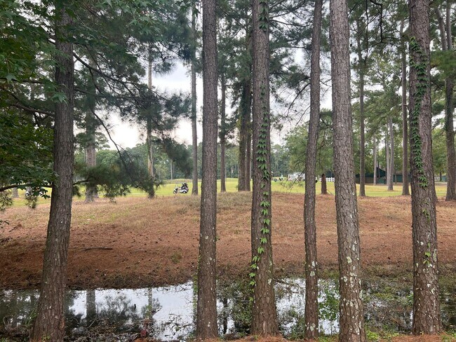 Building Photo - Gorgeous 3 Bedroom townhome in Carolina Fo...