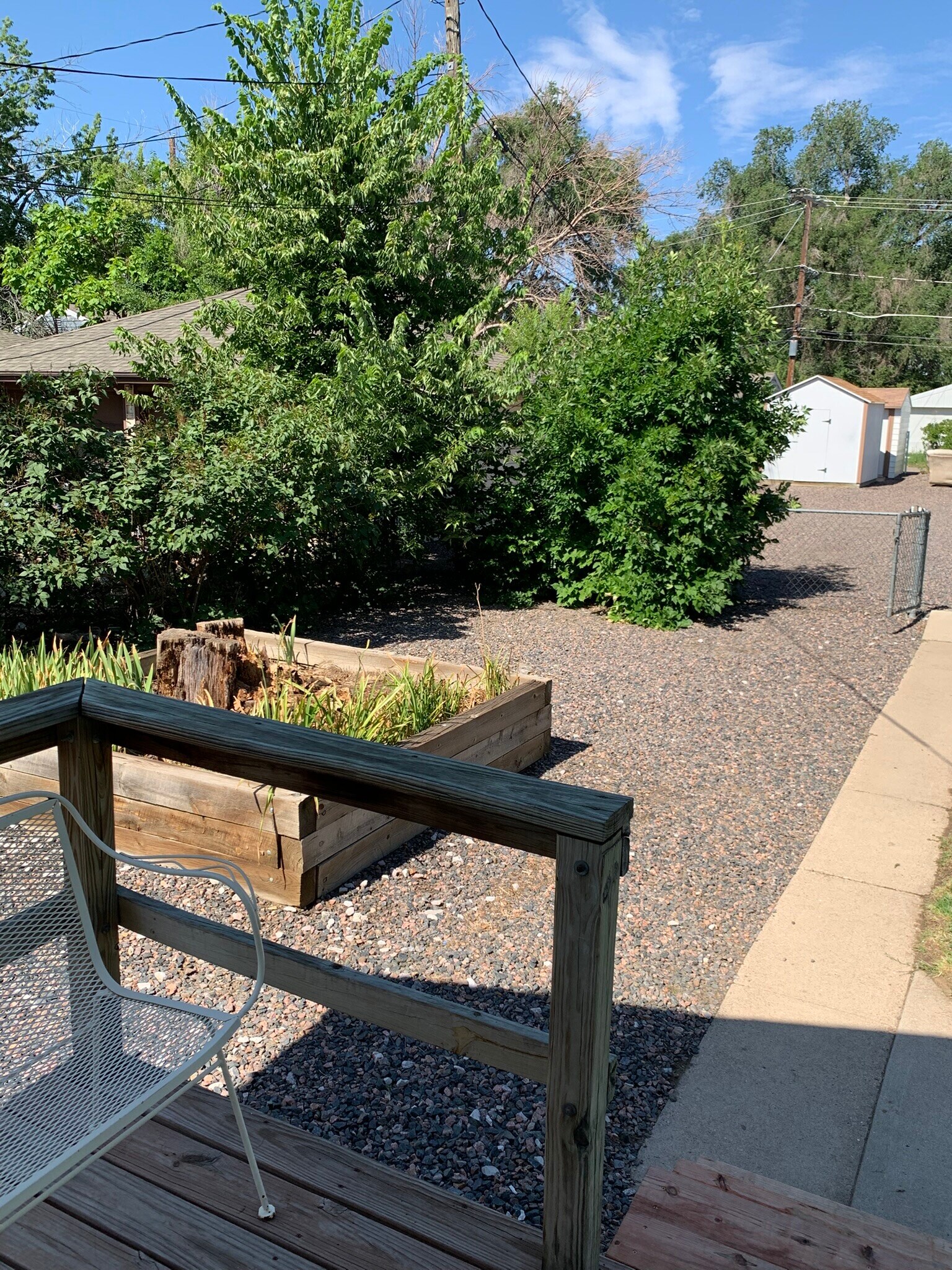 Backyard - 2439 9th Ave