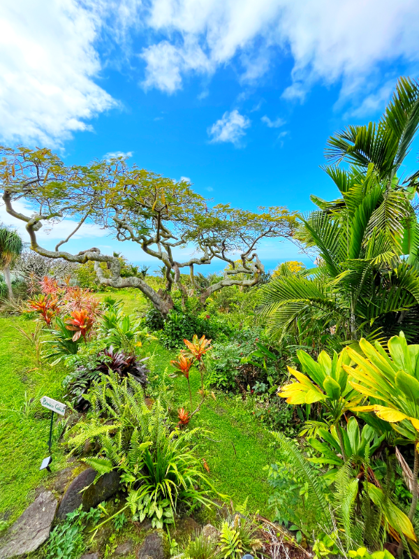 Building Photo - 81-6467-6467 Hawai?i Belt Rd