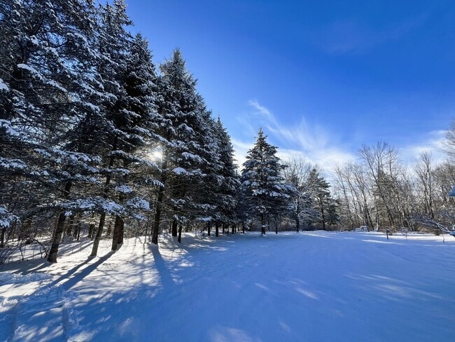 Building Photo - Charming 4-Bedroom Single-Family Home in a Peaceful, Scenic Setting