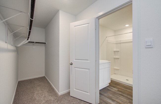 Building Photo - 3012 Dylan Skyland Dr
