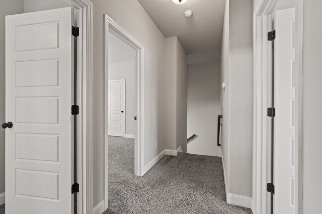 Building Photo - 508 Potter Stone Square