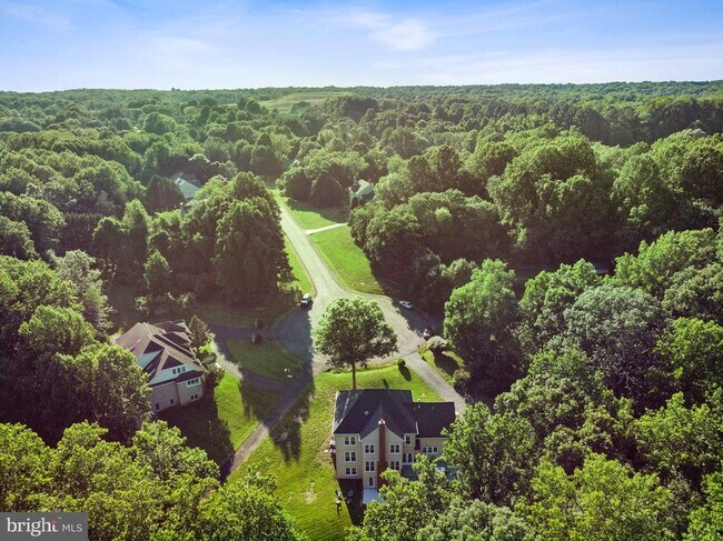 Building Photo - 10899 Woodland Falls Dr
