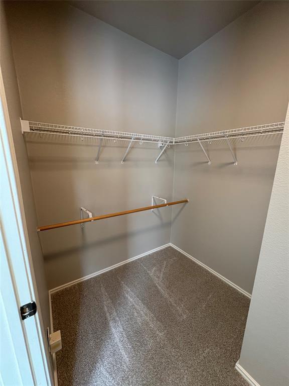 Building Photo - 2109 Rockland Dr