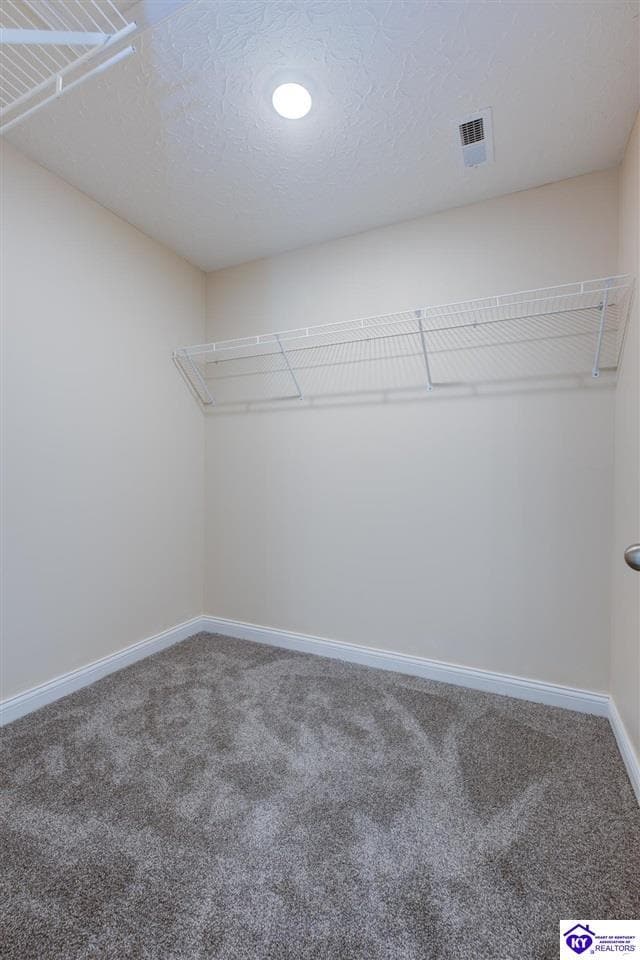 Building Photo - 203 Dixon Cir