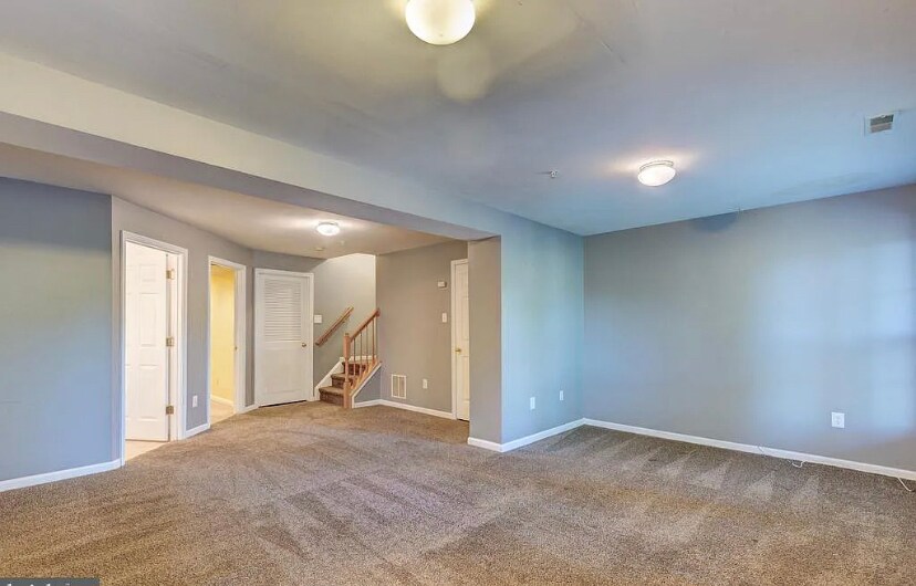 Basement - 9848 Sherwood Farm Rd