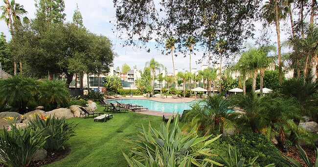 Main pool - 5520 Owensmouth Ave