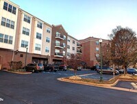 Building Photo - The Easy Life at City Center