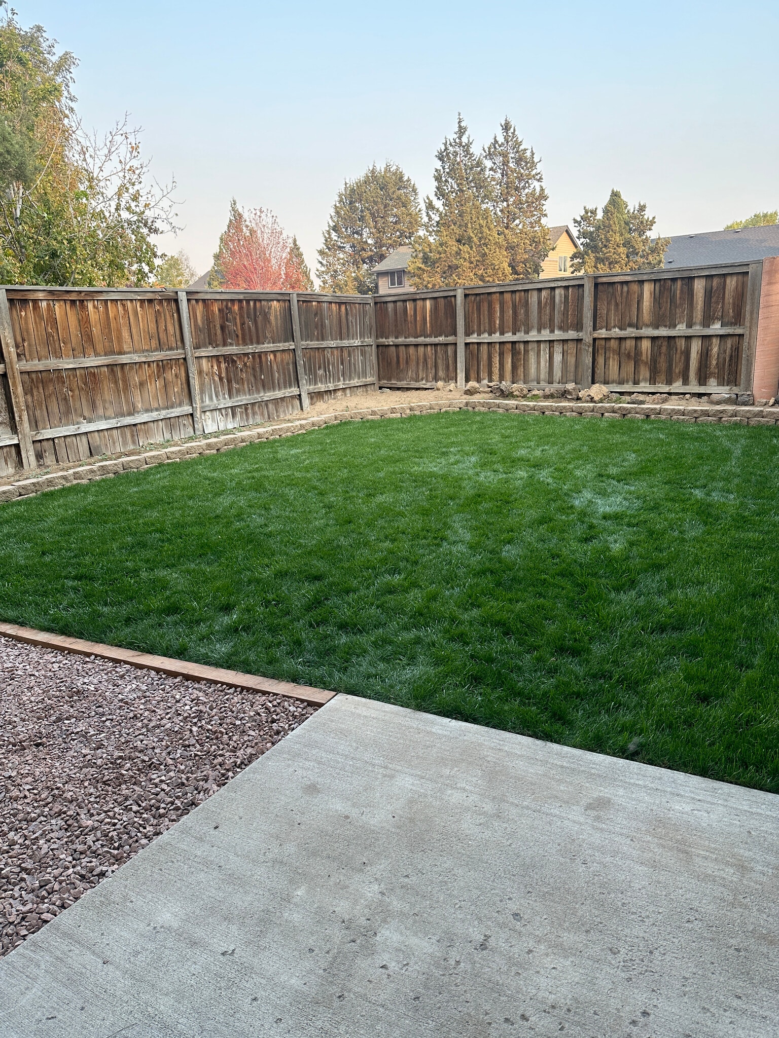 Backyard - 20878 Nova Loop