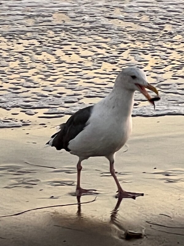 Building Photo - 4874 Thille St