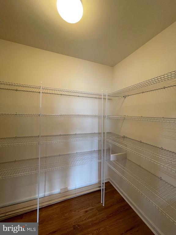 Building Photo - 103 Alexandreas Ct