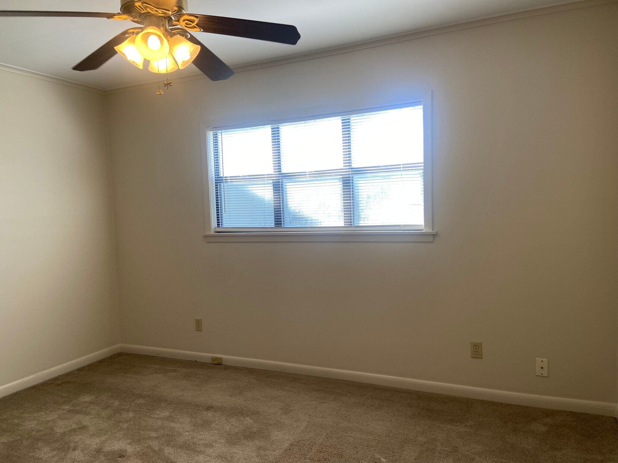 Building Photo - 147 E Elmwood St