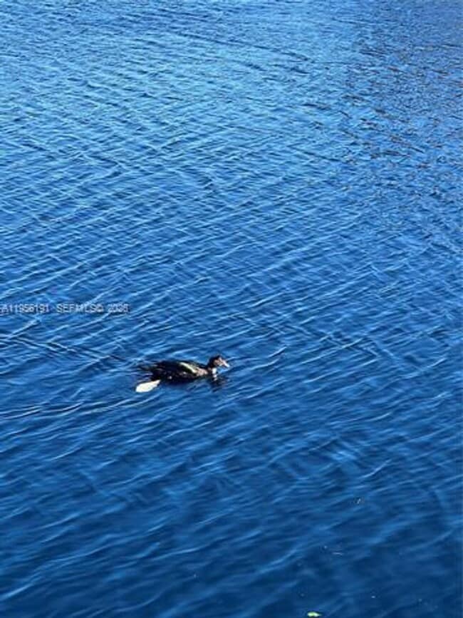 Building Photo - 6484 Miami Lakes Dr