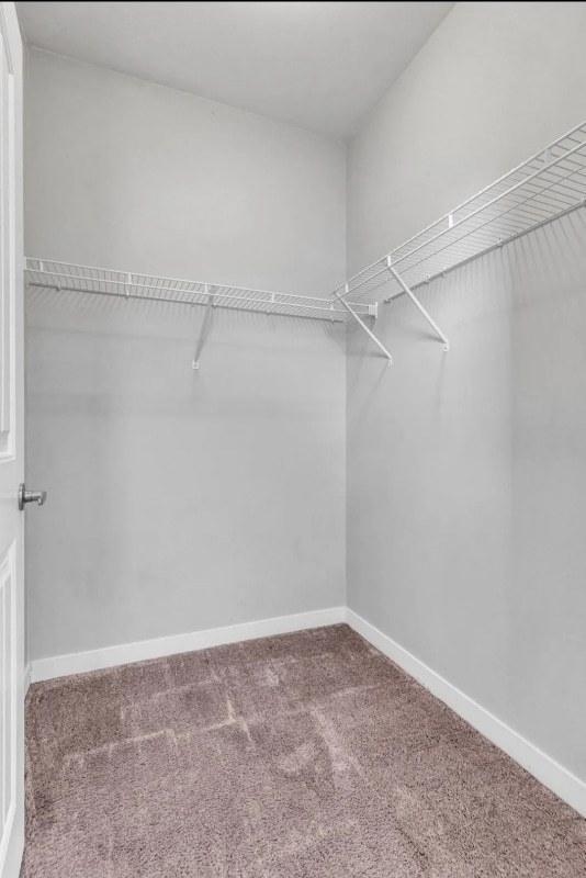 Building Photo - 1118 Litton Ave