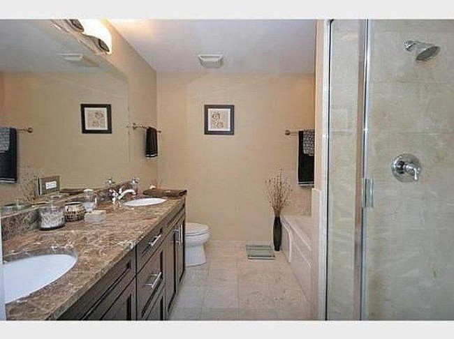 Master bath w/jacuzzi - 1903 W Diversey Pkwy