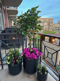 Building Photo - 1301 W Madison St