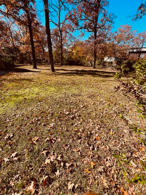 Building Photo - 603 Chimney Rock St