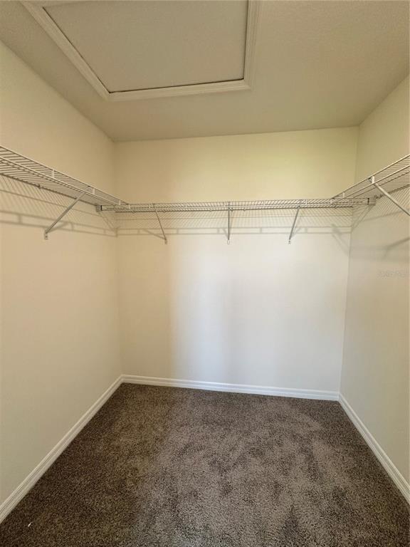 Building Photo - 1767 McCoy Ln