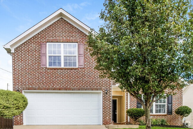 Building Photo - 1105 Sima Shabat Ct
