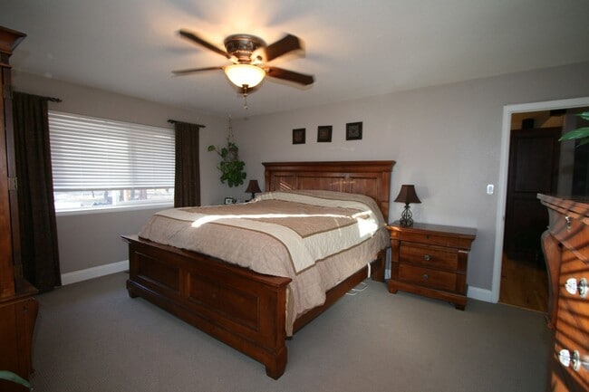 Building Photo - Beautifully Updated Black Forest Rancher on 5 Acres!