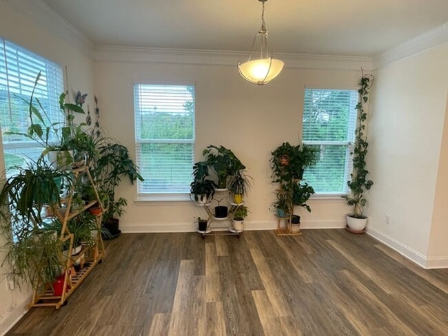 Building Photo - COMING SOON!