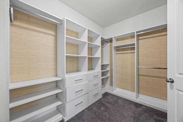Building Photo - 1036 Almeria Bend