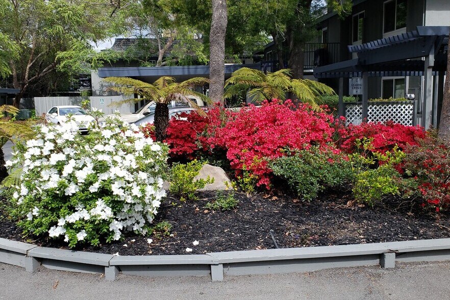 Sycamore Green Entrance - Sycamore Green Apartments