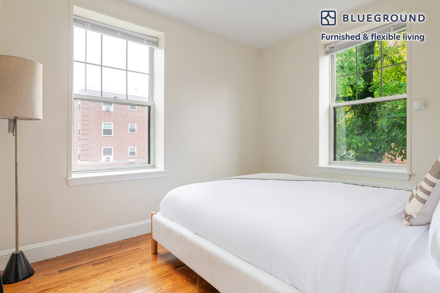 Building Photo - 264 Harvard St